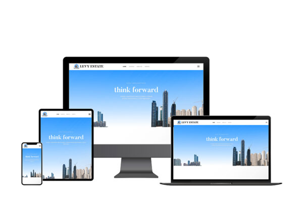 LEVY ESTATE REALESTATE